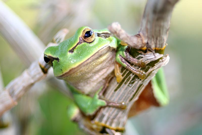 Killikus® Fotographie Killikus® Fotographie